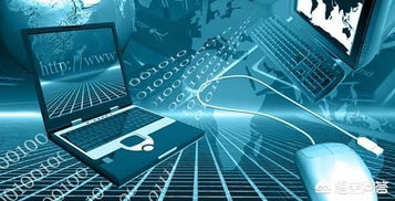 人工智能应用软件开发 通往AI与物联网行业的专业路径